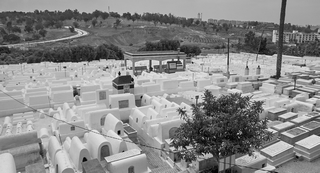 Fes     (Cimetière israélite)   |   27  /  38    | 